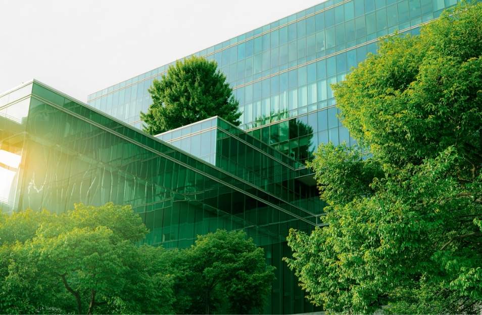 Edificio verde con árboles en primer plano, rodeado de un entorno natural.