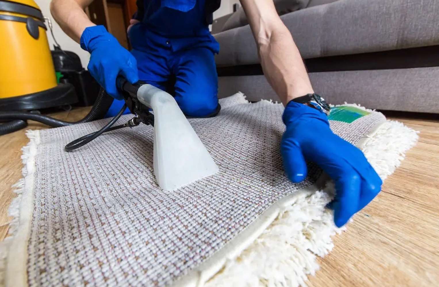 Hombre con guantes azules limpiando una alfombra en un servicio profesional a domicilio en Manizales.